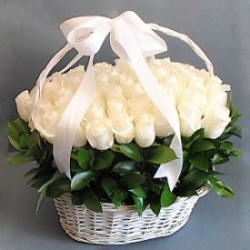 PRF BQT 44
